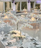 Contemporary Orchid %26 Rose Centerpieces
Photography: Ira Lippke Studios
Read More:
http://www.insideweddings.com/weddings/contemporary-backyard-white-wedding-under-clear-tent-in-chicago/857/ white orchid and ivory rose centerpieces in silver vases white goblets tent wedding purple lighting
