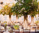 Garden-Inspired Reception Décor