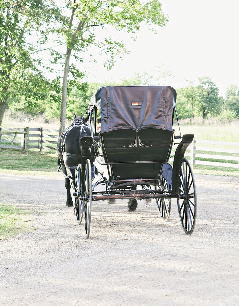Black Horse-Drawn Carriage
Photography: Stacy Newgent
Read More:
http://www.insideweddings.com/weddings/rustic-barn-wedding-tented-reception-on-family-farm-in-ohio/690/ Farm wedding with a vintage black horse drawn carriage