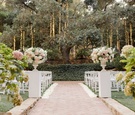 Aisle Leading to Tree