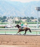 Jockey on Horse at Racetrack
Photography: Lucas Rossi Photography
Read More:
http://www.insideweddings.com/weddings/traditional-catholic-ceremony-reception-at-a-california-racetrack/1139/ Jockey on top of brown horse at santa anita race track california wedding venue ideas ferris wheel