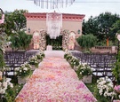 Lush Pink & Apricot Flower Aisle