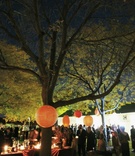 Barnyard Cocktail Hour
Photography: Artisan Events
Read More:
http://www.insideweddings.com/weddings/refined-casual-wedding-at-a-private-residence-in-illinois/206/ Evening cocktail hour under trees with orange paper lanterns