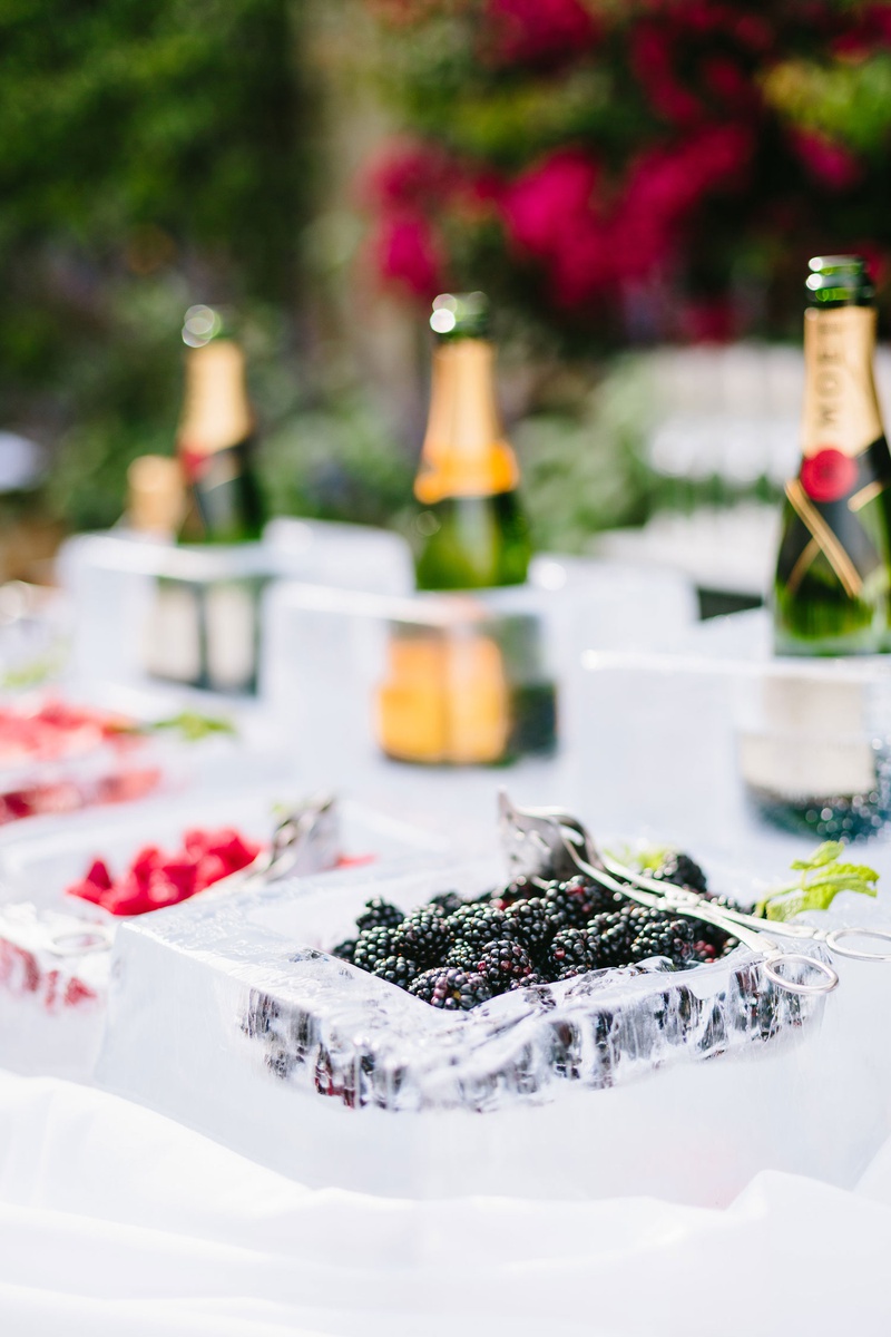 Champagne %26 Berries in Ice Bar
Photography: Jodee Debes Photography
Read More:
http://www.insideweddings.com/weddings/elegant-alfresco-ceremony-reception-with-parisian-elements/1176/ Wedding ceremony champagne served in ice bar with blackberry strawberry raspberry champagne moet