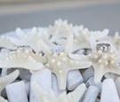 Starfish with Wedding Rings