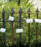 Iron Fence Place Cards
Photography: Mark Cornelison
Read More:
http://www.insideweddings.com/weddings/teddi-mellencamp-and-matthew-robertson/190/ place cards displayed on wrought iron fence