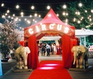 Circus-Theme Wedding for Lana