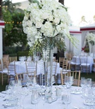 Tall Centerpiece with Roses %26 Hydrangeas
Photography: Wedding Photography by Liam
Read More:
http://www.insideweddings.com/weddings/outdoor-destination-wedding-at-an-oceanfront-resort-in-florida/1193/ wedding reception tall centerpiece crystals greenery white hydrangea rose flowers classic