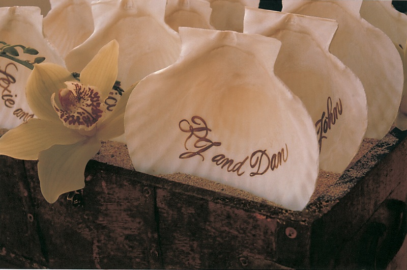Personalized Seashells
Photography: David Michael Photography
Read More:
http://www.insideweddings.com/weddings/tropical-seaside-wedding-in-lanai-hawaii/60/ guests names written on seashells