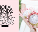 Protea Wedding Flowers
Article: 11 Inspiring Protea Flower Arrangements for Weddings
Photography: Kir2ben Photography
Read More:
http://www.insideweddings.com/news/planning-design/11-inspiring-protea-flower-arrangements-for-weddings/4577/ Floral trends protea wedding flower ideas