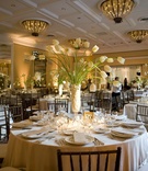 Tulip Wedding Reception Décor
Photography: Katie Moos Photography
Read More:
http://www.insideweddings.com/weddings/beachside-ballroom-wedding-in-santa-barbara-california/275/ Ballroom wedding with white color palette and tulips