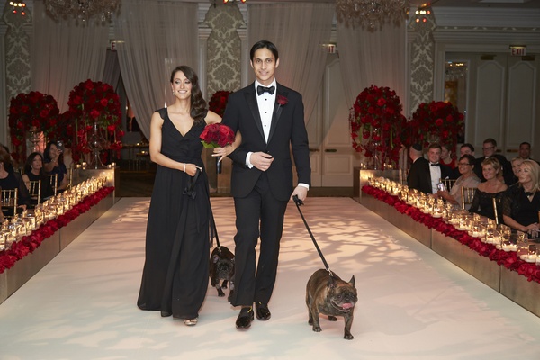Red Roses Bridesmaid In Black Groomsman Tuxedo Walking Pugs Down Aisle Red Roses Bridesmaid In Black Groomsman Tuxedo Walking Pugs Down Aisle