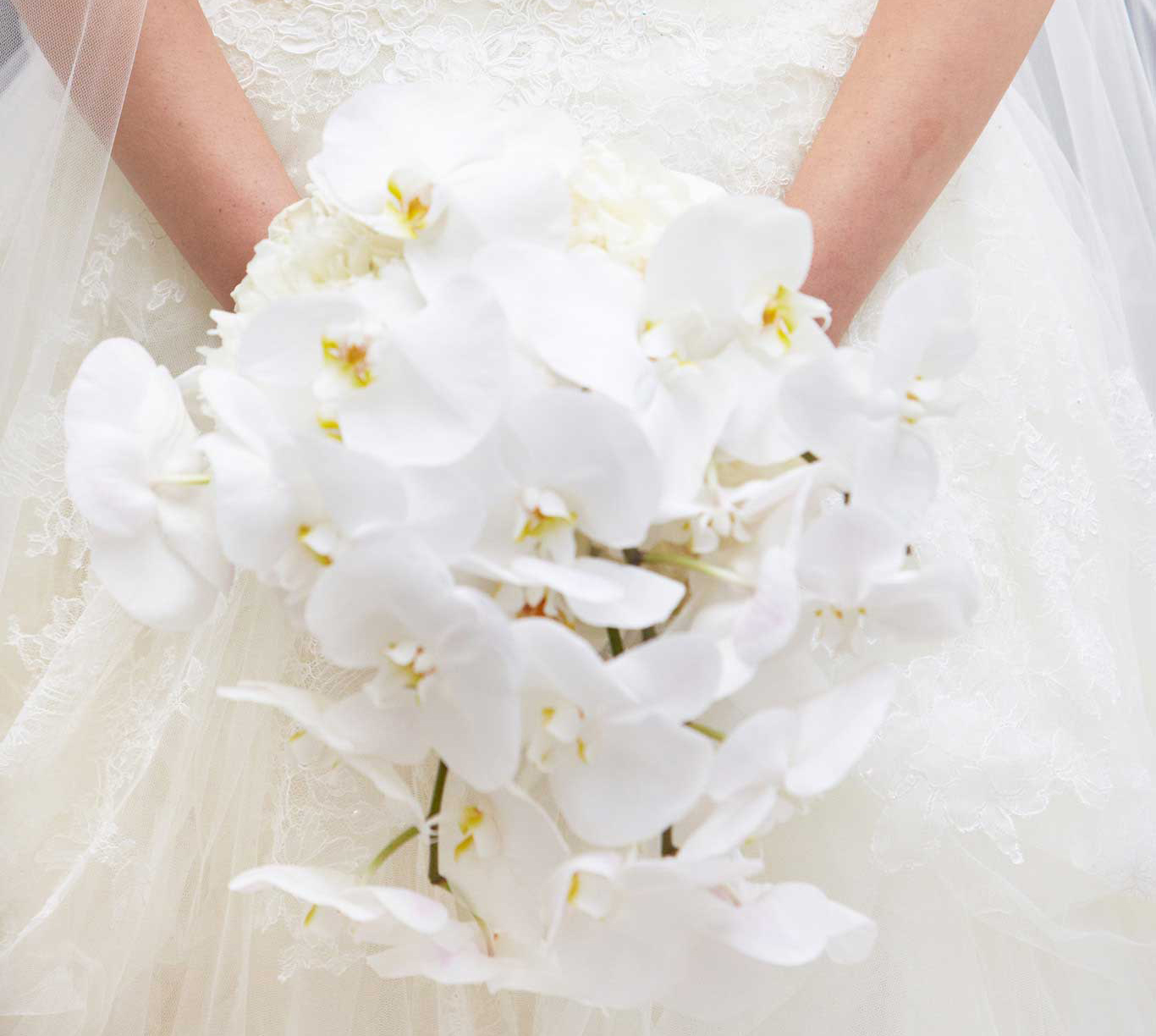 bridal bouquet with cascading white orchids