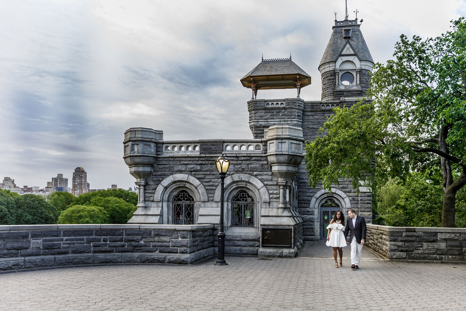 Engagement Shoot Ideas Central  Park  in New York City 